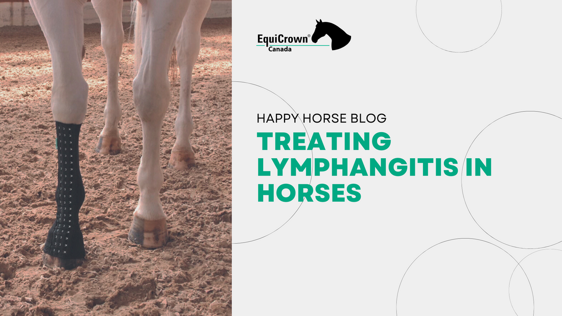 Treating Lymphangitis in Horses: Compression Wraps Vs. Drugs