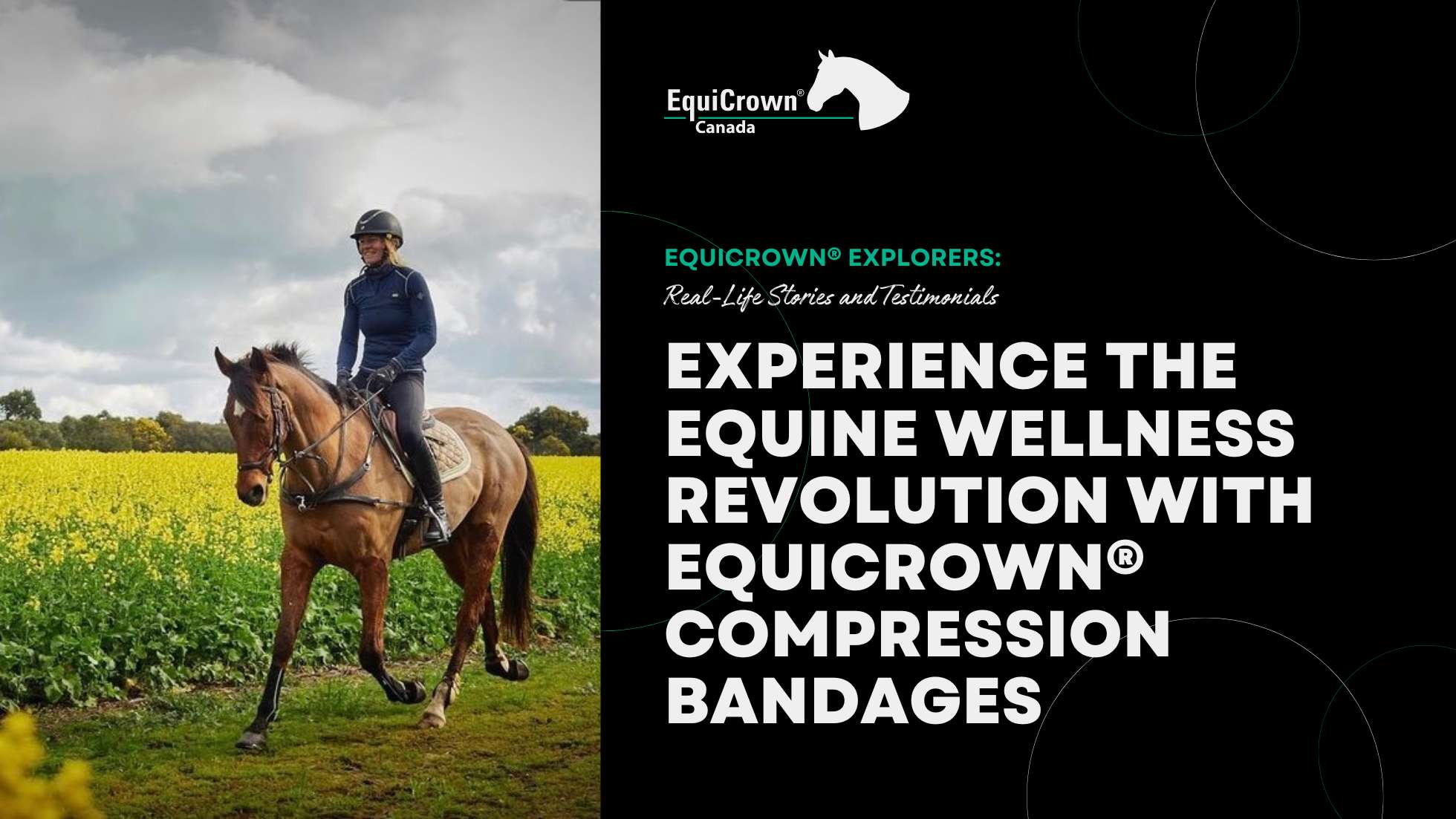 Experience the Equine Wellness Revolution with EquiCrown® Compression –  EquiCrown Canada
