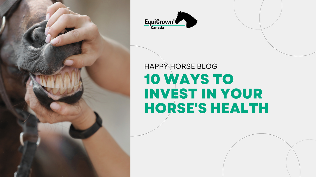 10 Simple Ways To Invest In Your Horse’s Health