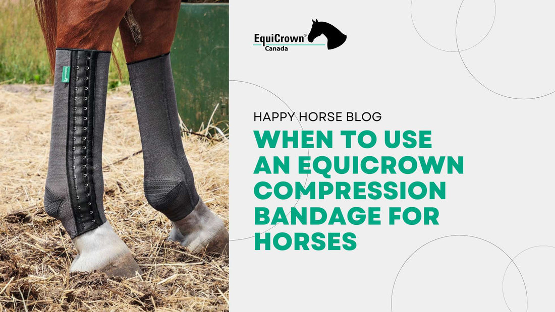 When To Use an EquiCrown Compression Bandage For Horses
